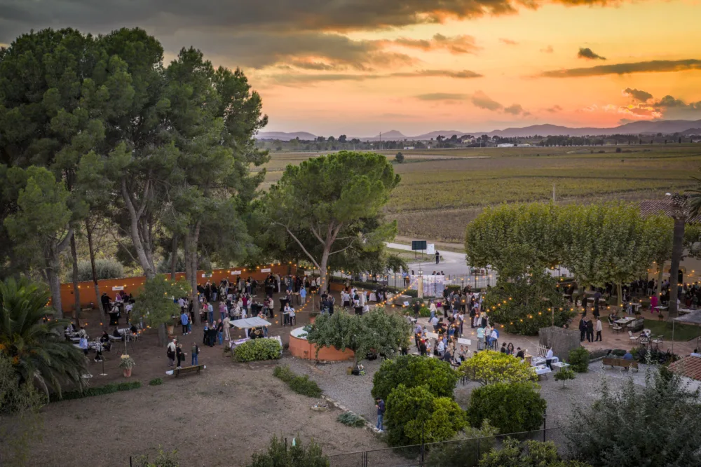 Cena al aire libre en una bodega al atardecer