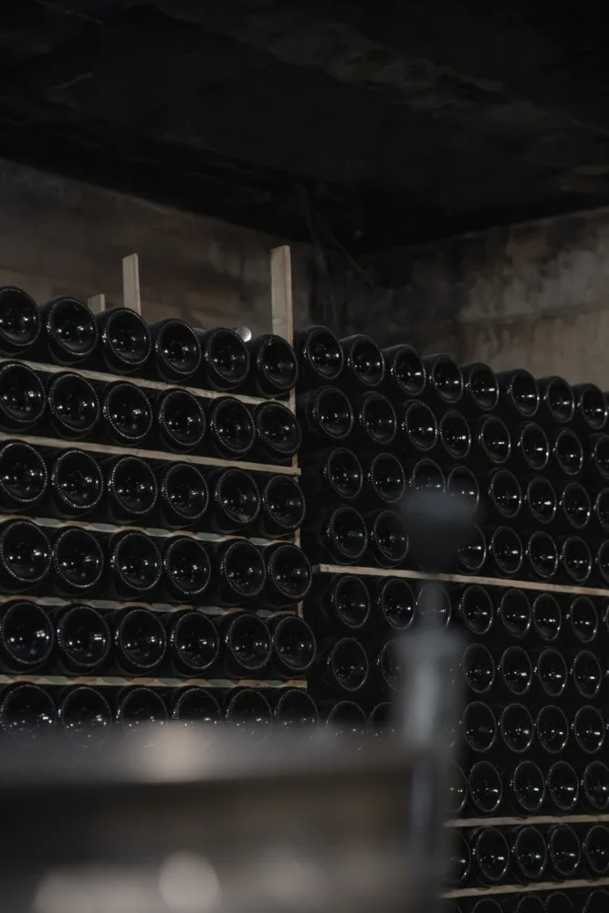 Botellas de espumoso en crianza en la cava de Fèlix Massana Ràfols