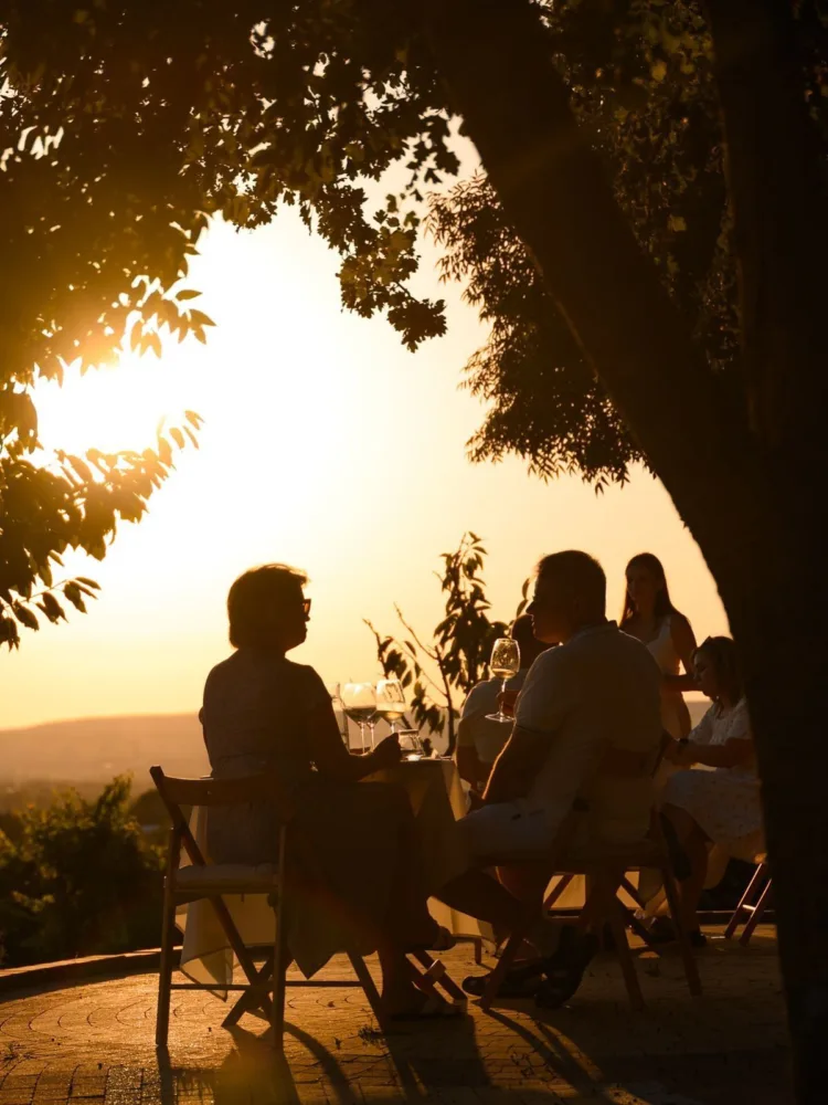 Comensales a contraluz bajo un árbol al atardecer