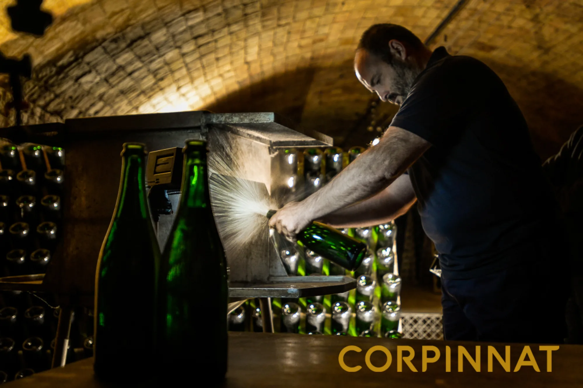 Work in the cellar with Corpinnat sparkling wine bottles