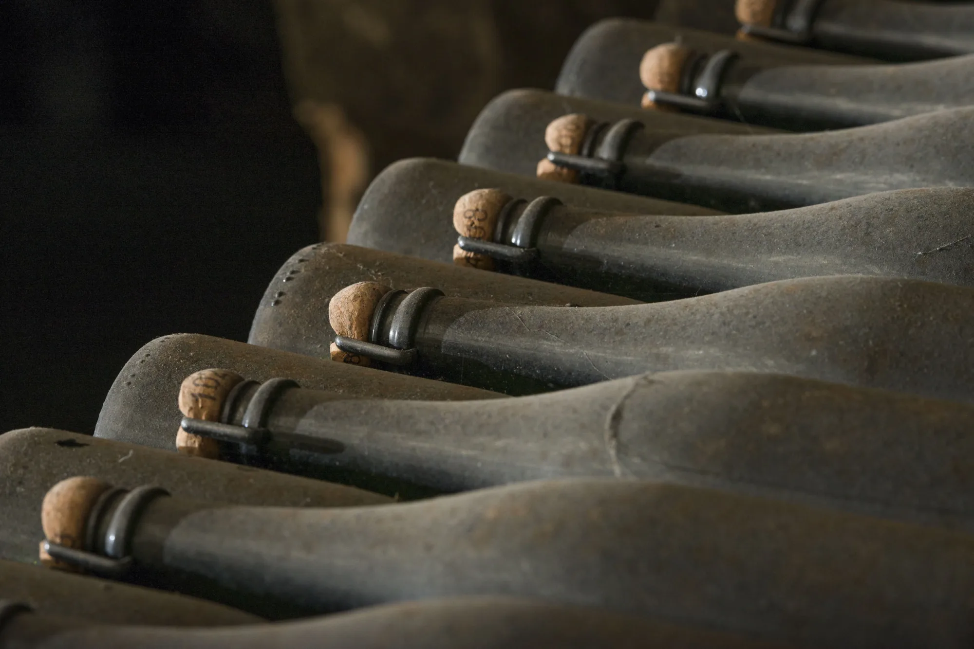 Sparkling wine bottles ageing in stacks