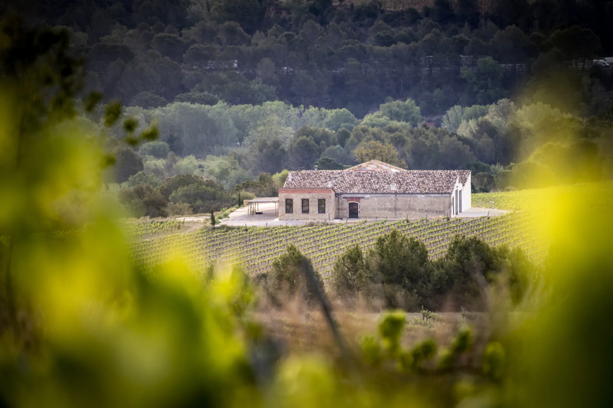 La masia de Can Rossell de la Llena vista entre les vinyes