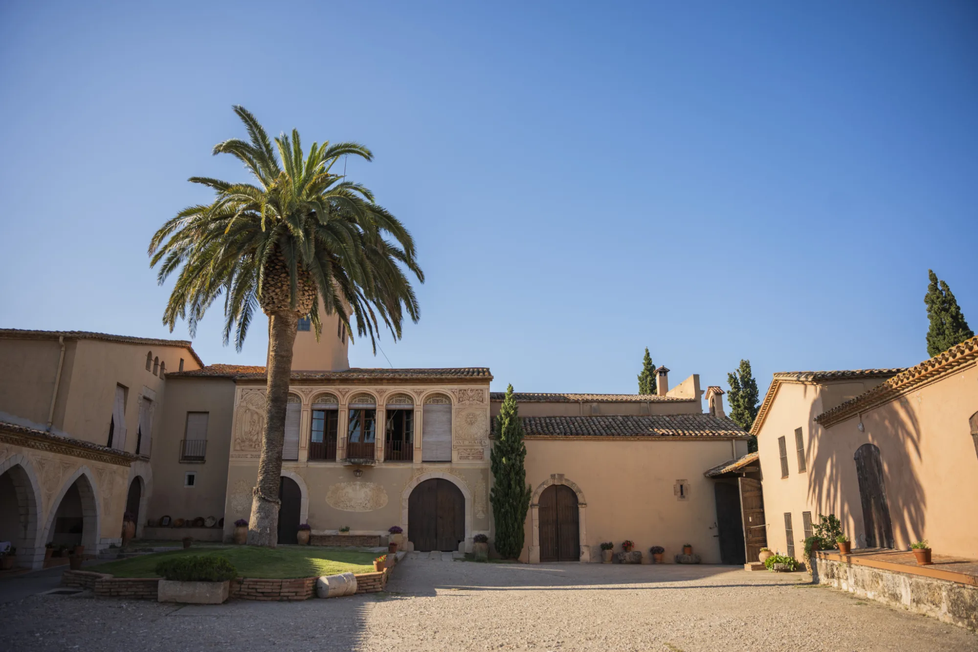 Patio de la masía de Can Feixes con una palmera