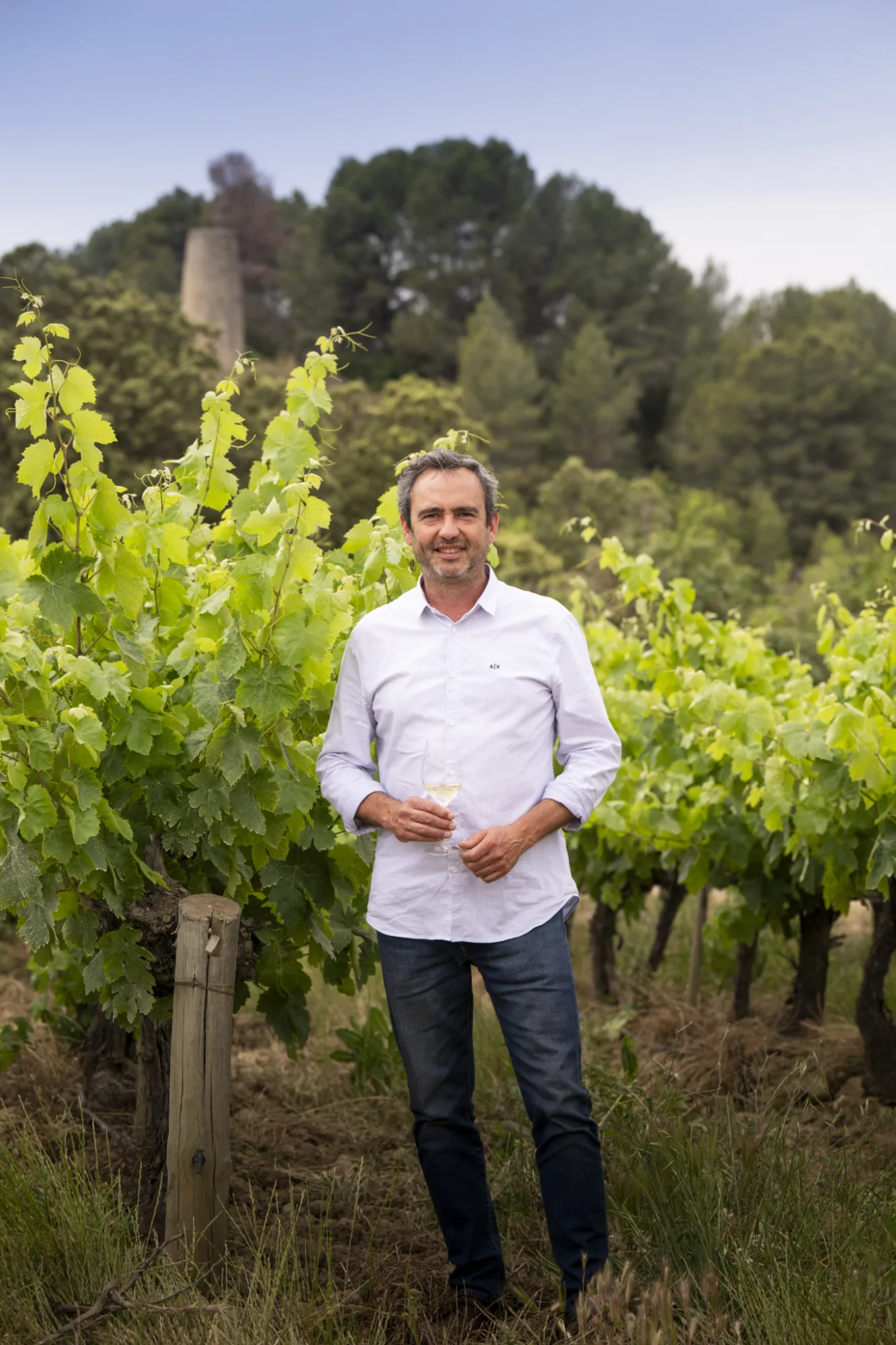 Winegrower standing in a Penedès vineyard