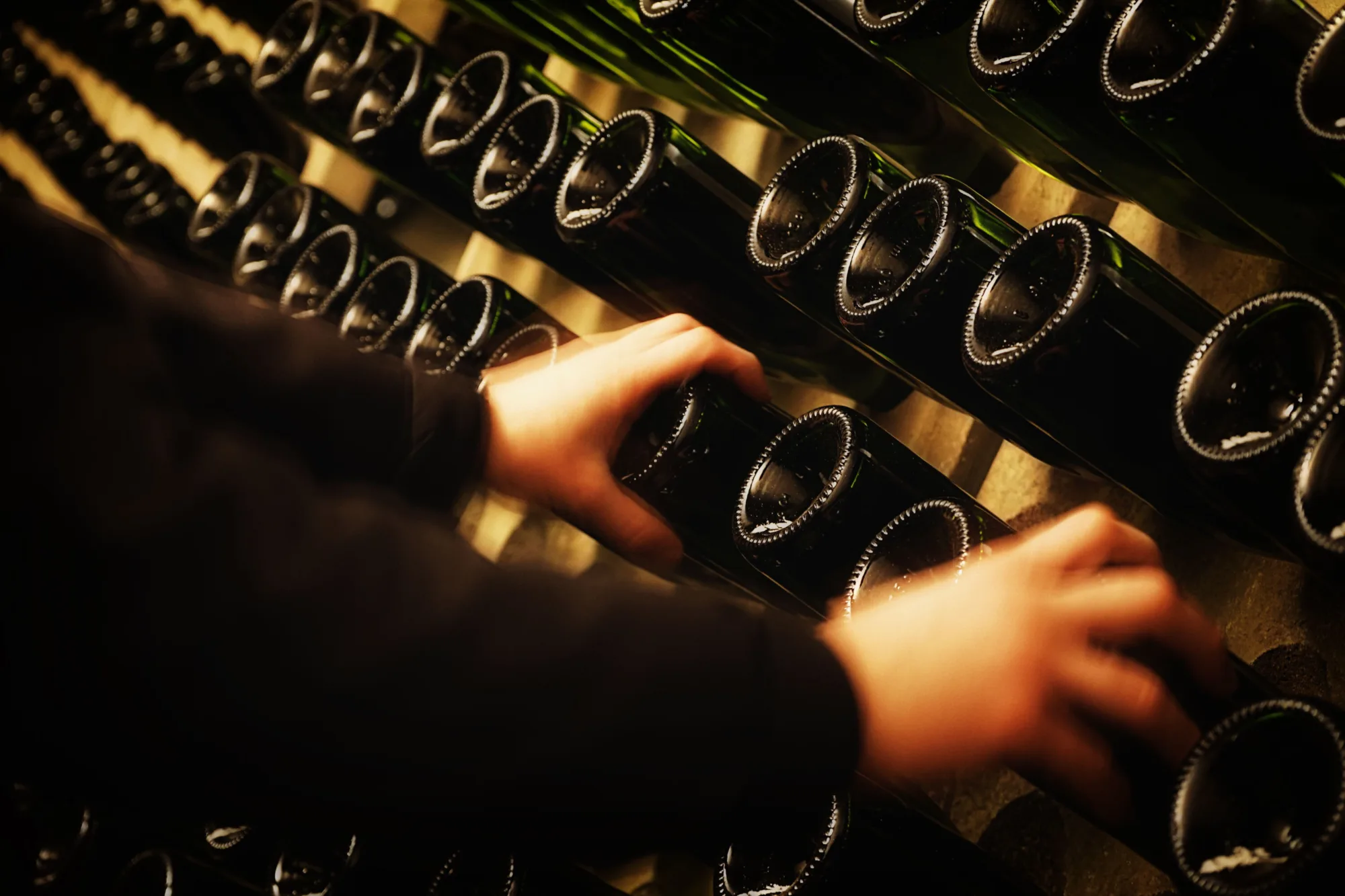 Hands riddling bottles in a pupitre