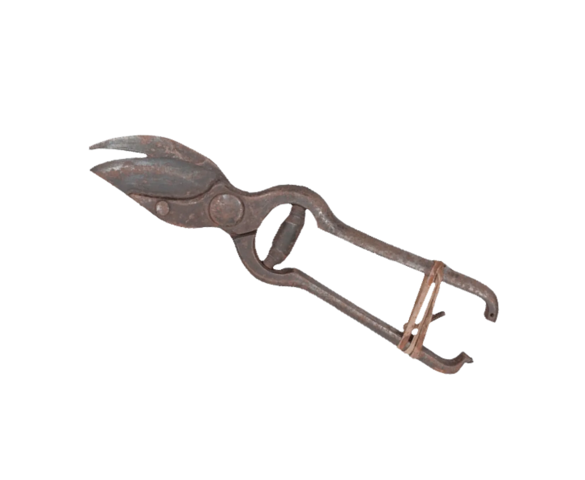 Tijeras de vendimia antiguas