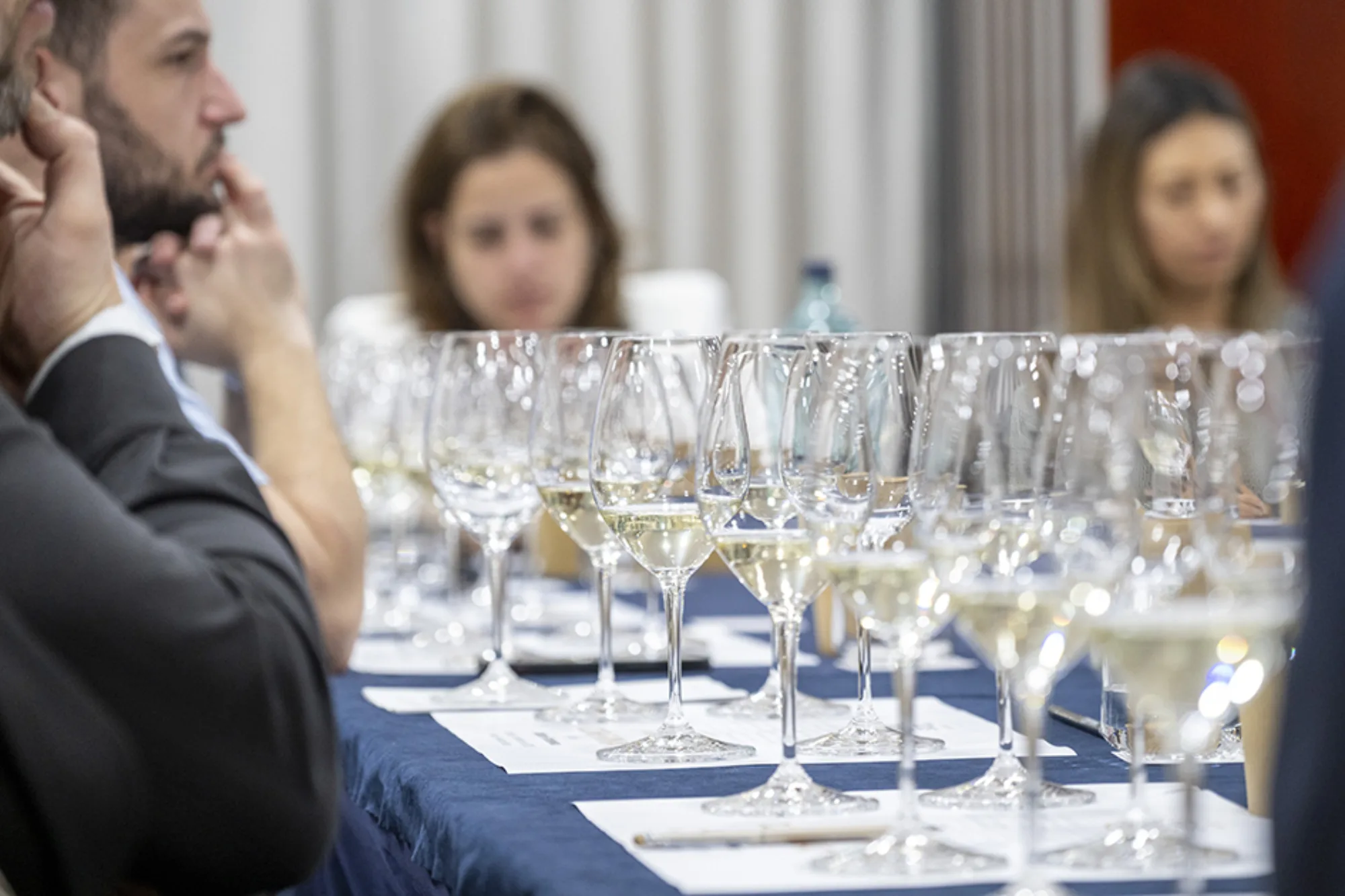 Glasses of base wine on a table at the Corpinnat Base Wine Tasting
