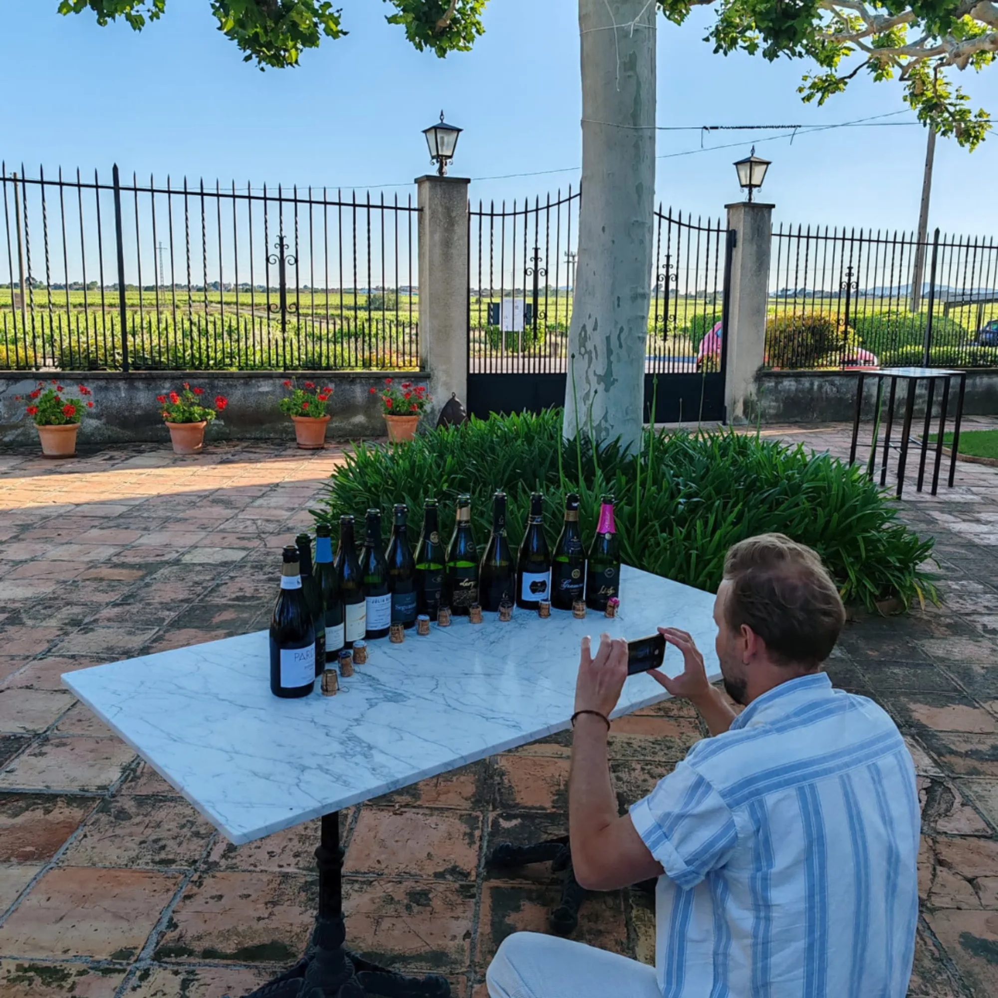 Fotografiando las botellas en una mesa del jardín de una bodega