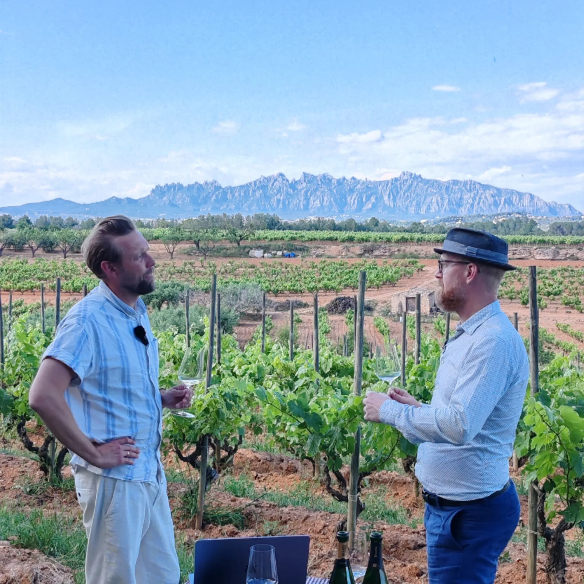 Conversación entre viñedos con Montserrat al fondo