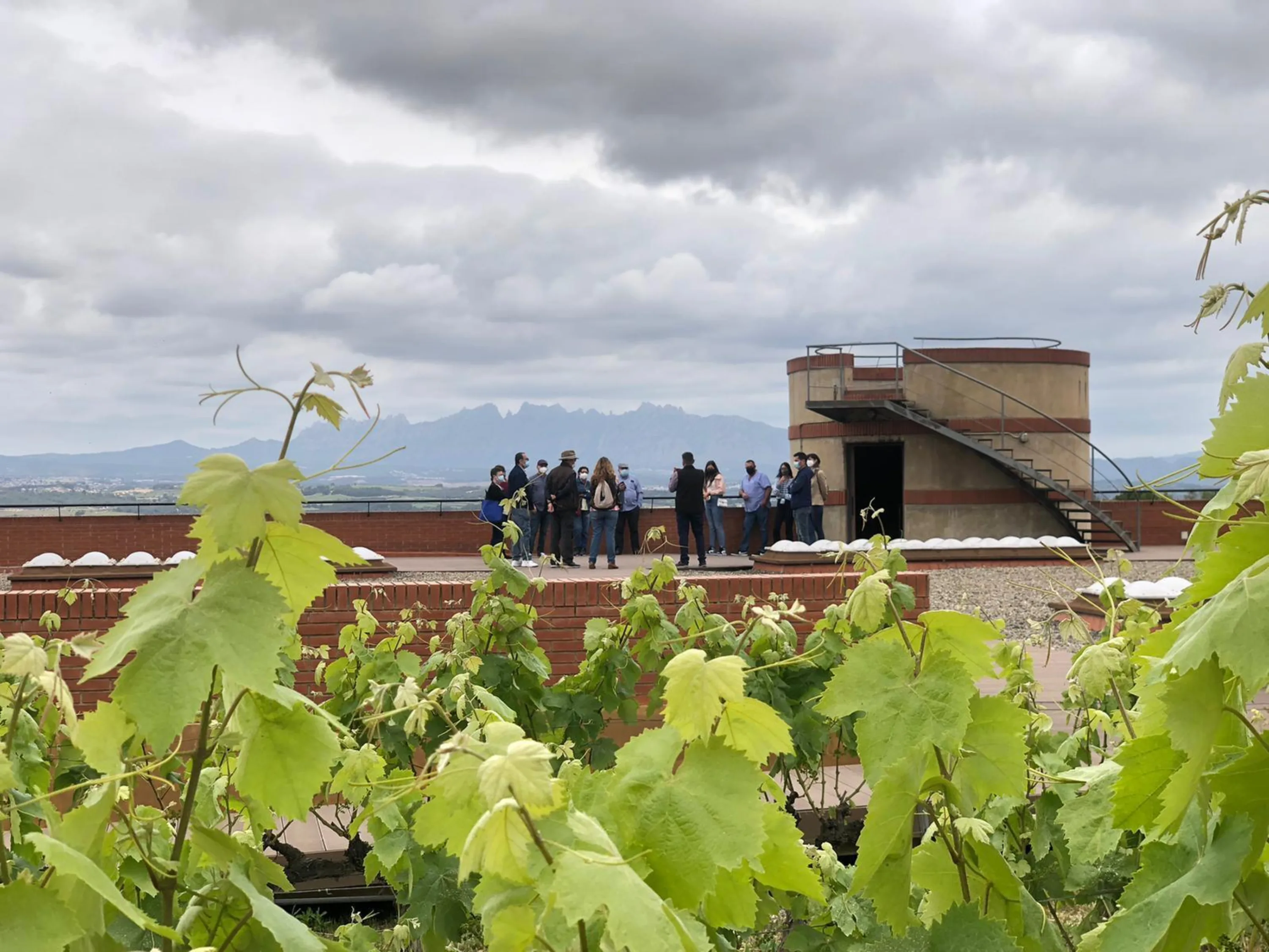 Visitantes en la terraza de una bodega entre viñedos el Día Internacional Corpinnat