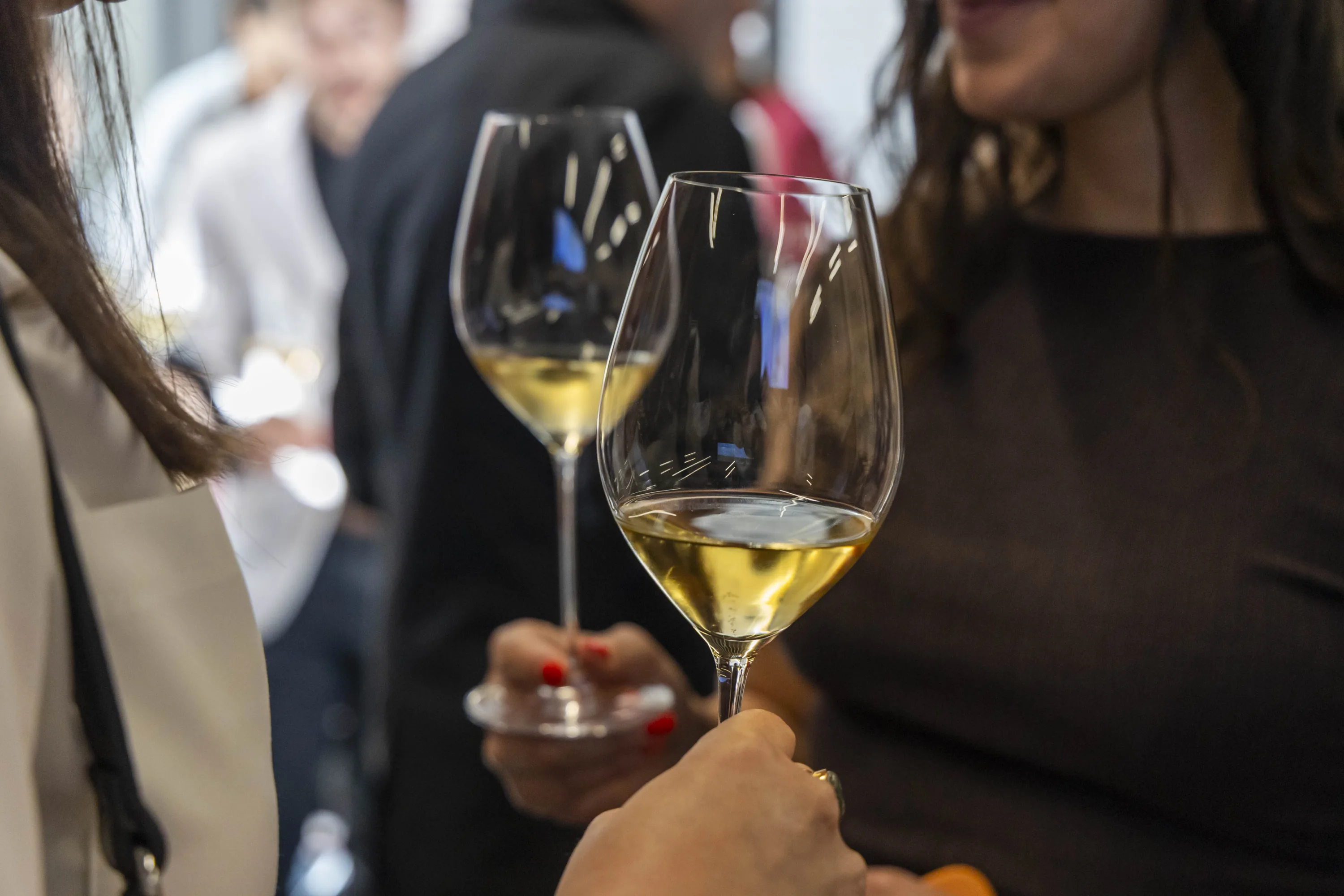 Copas de espumoso durante una cata del Celler Mir