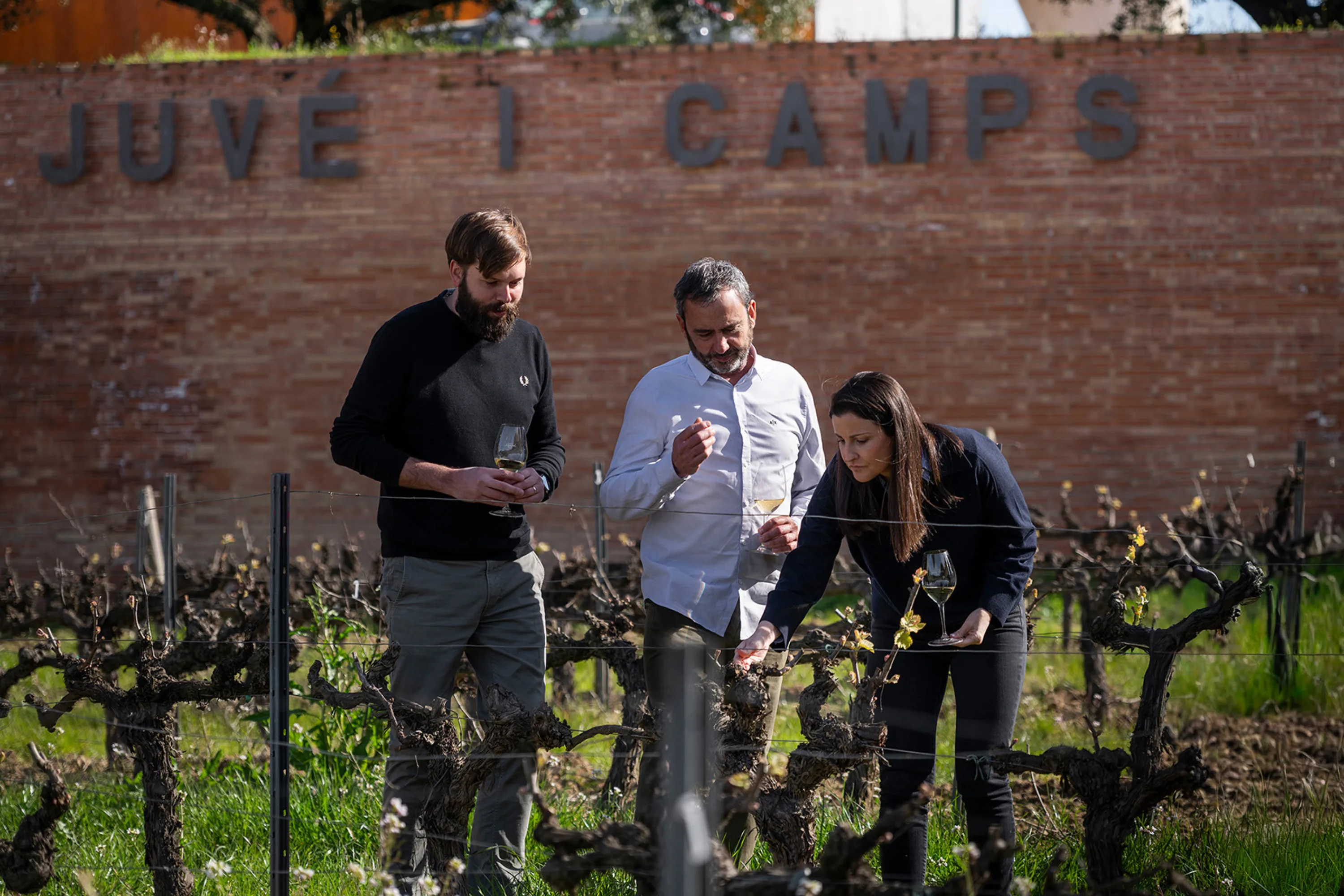 Juvé & Camps and Corpinnat representatives among the vines outside the winery