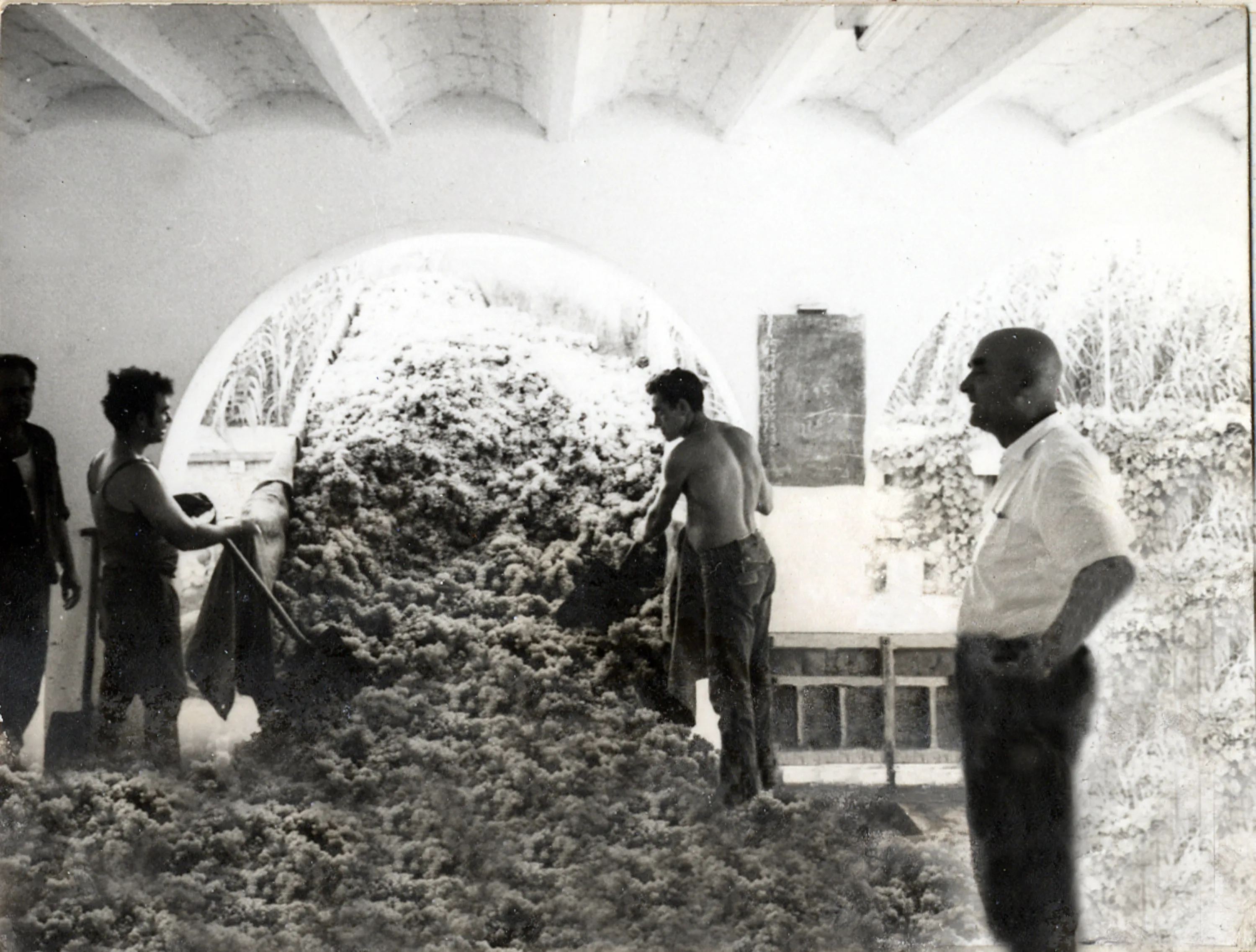 Old photograph of farmers working in the winery