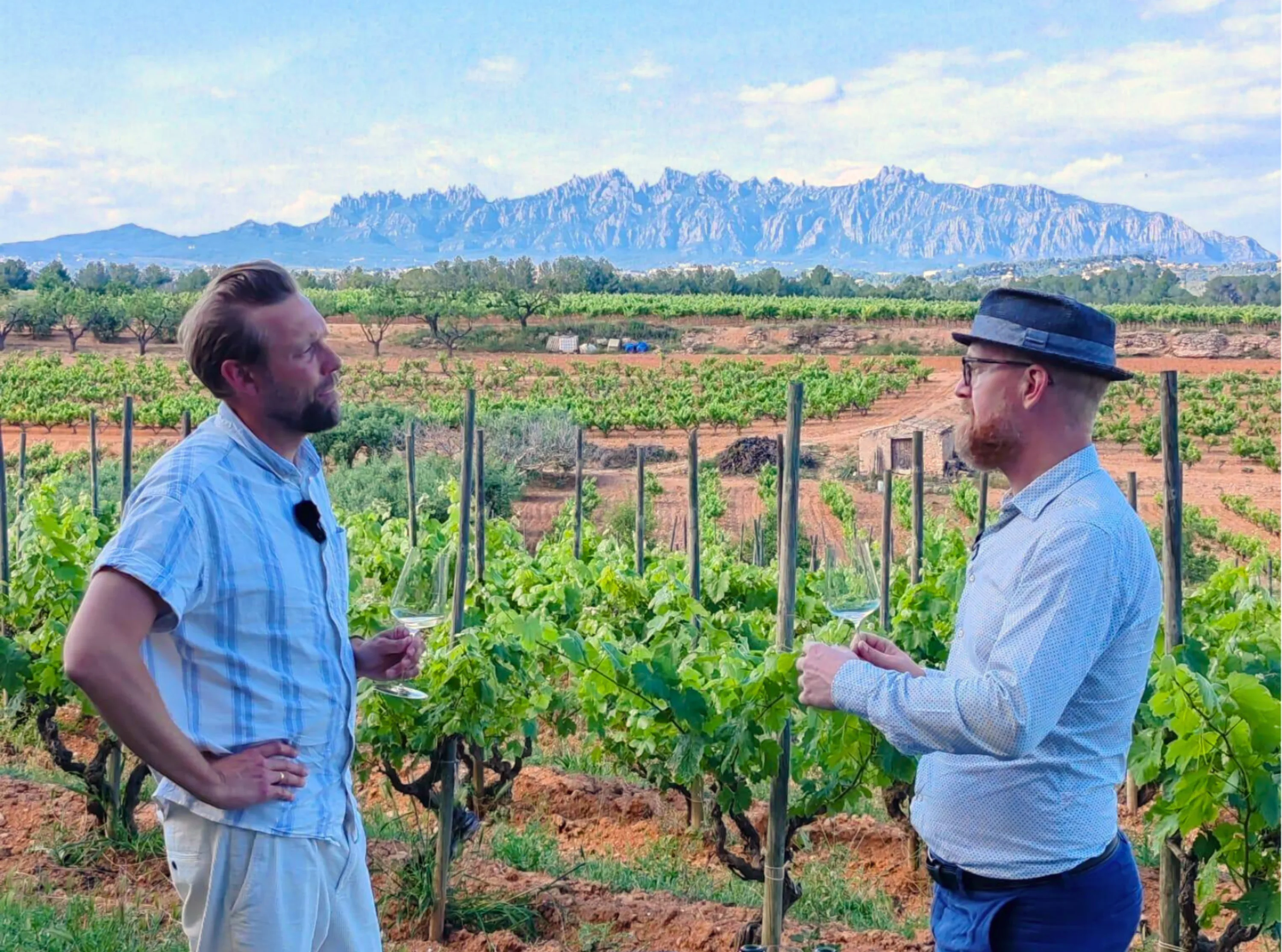 Conversation in the vineyards with Montserrat behind during a Danish visit