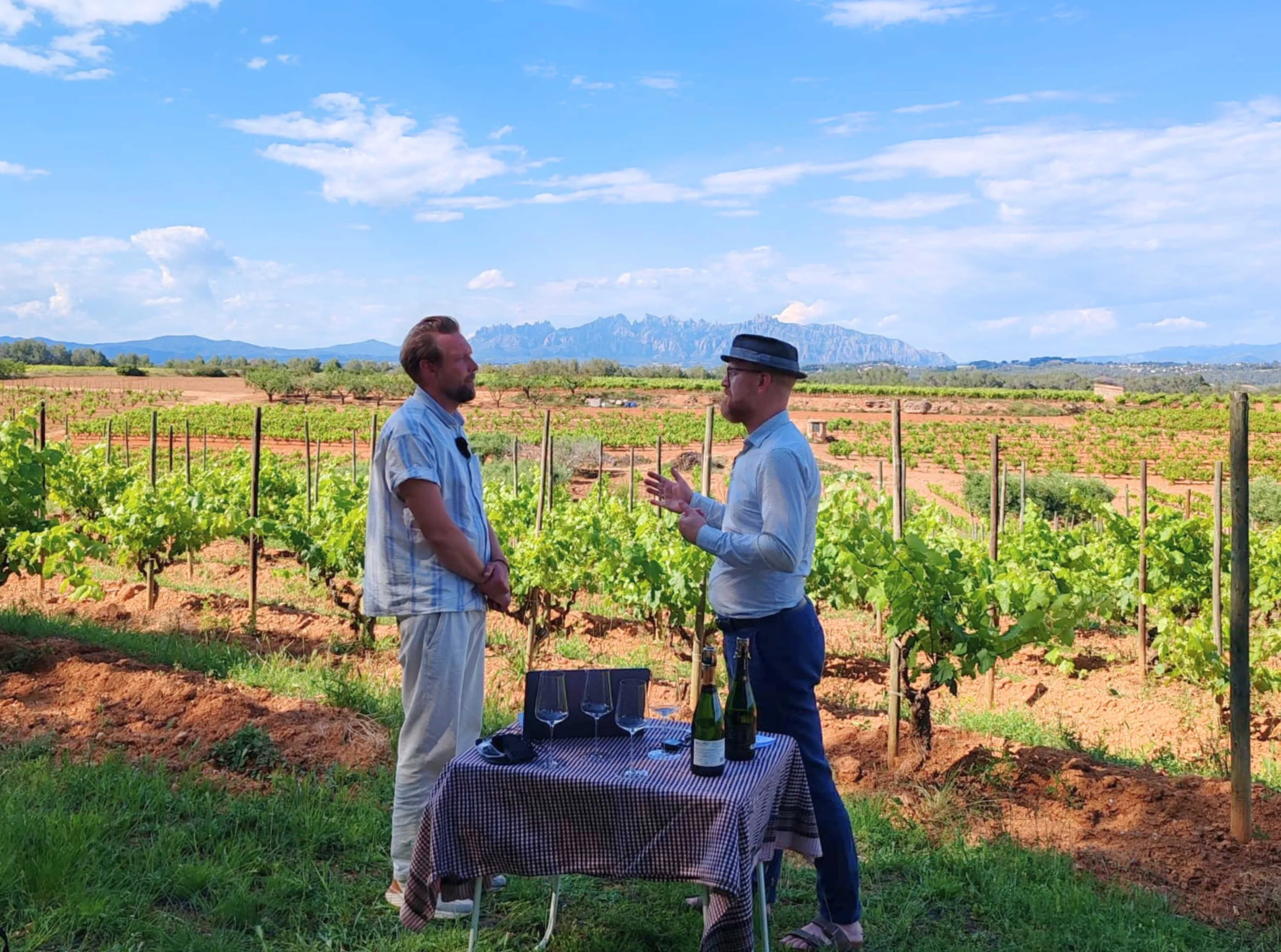 Corpinnat tasting in the vineyard with Montserrat behind