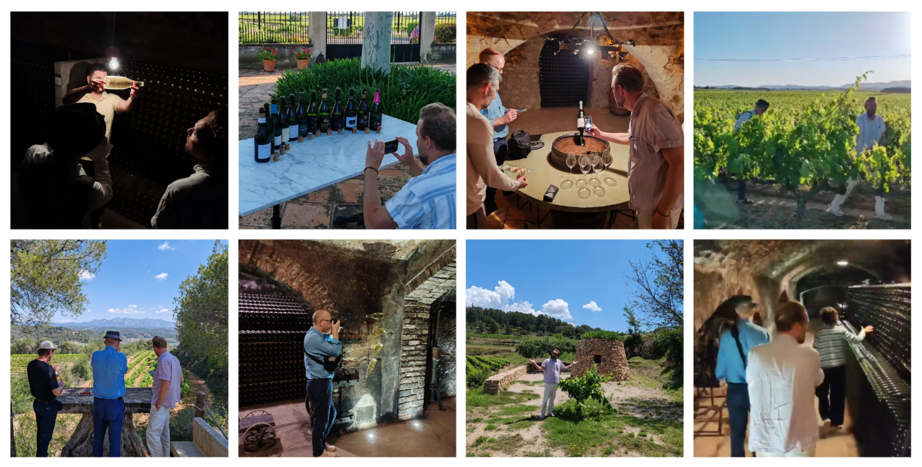 Collage from Corpinnat's visit to Denmark