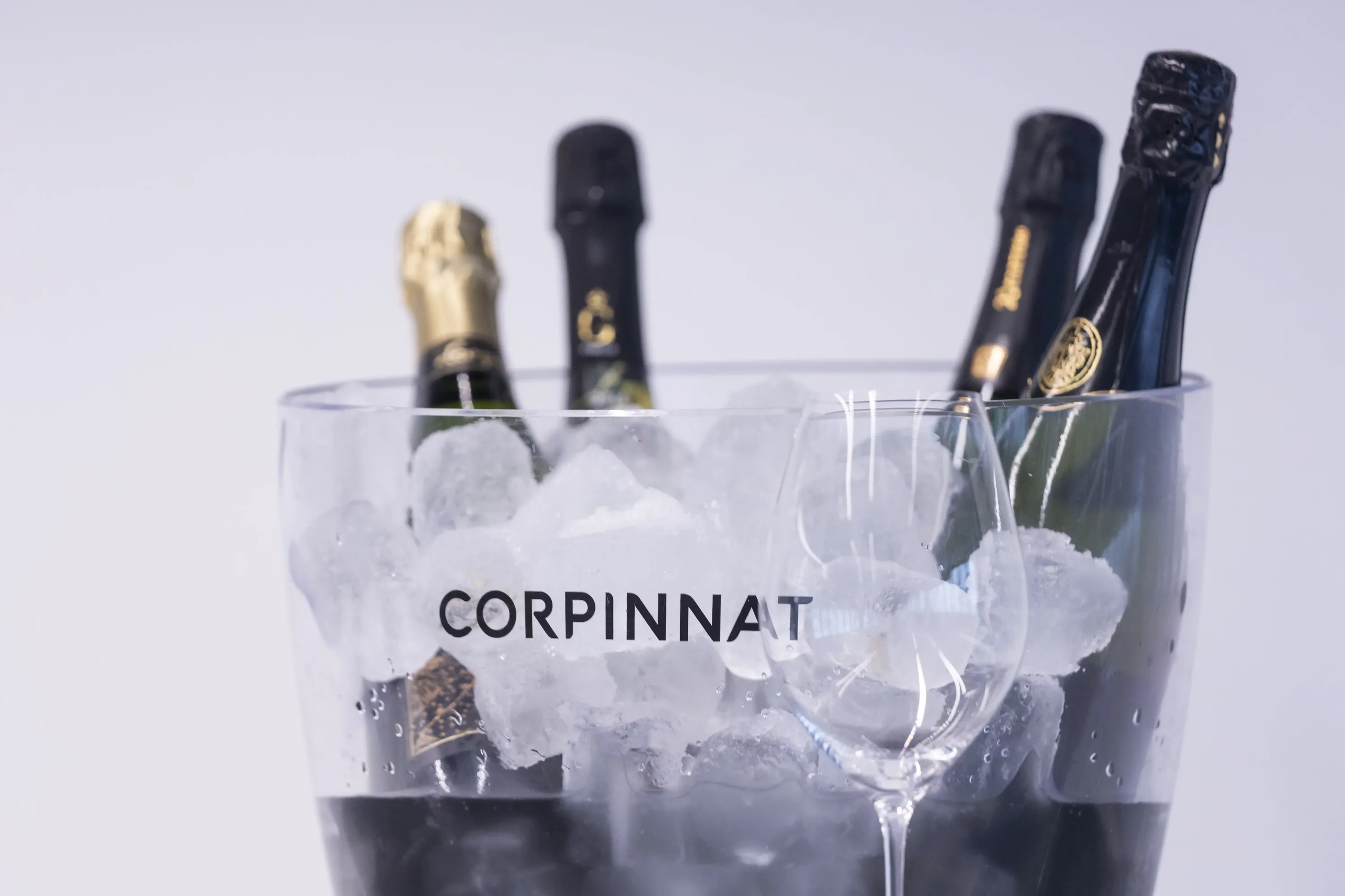 Botellas de corpinnats en una cubitera Corpinnat
