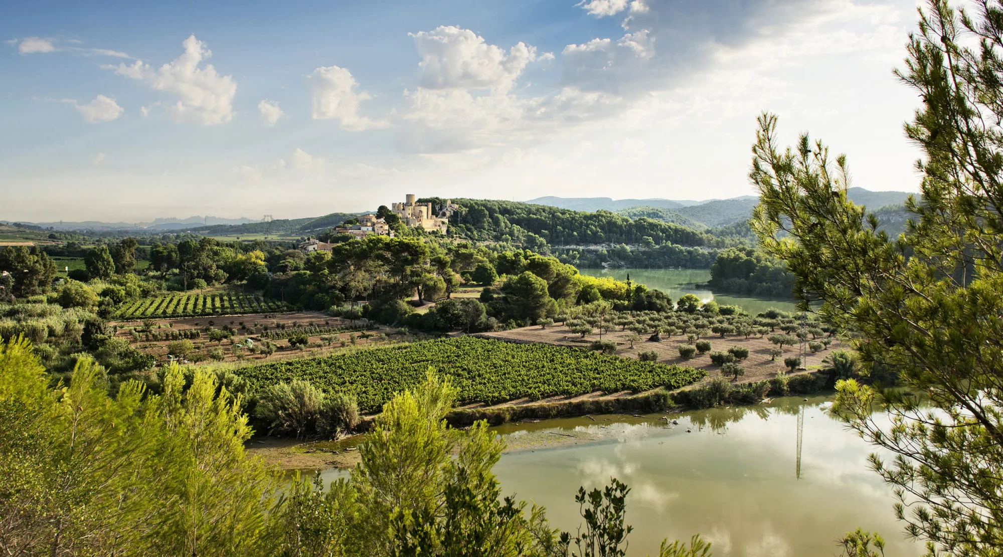 castellet i la gornal, el panta del foix, castells, Gran